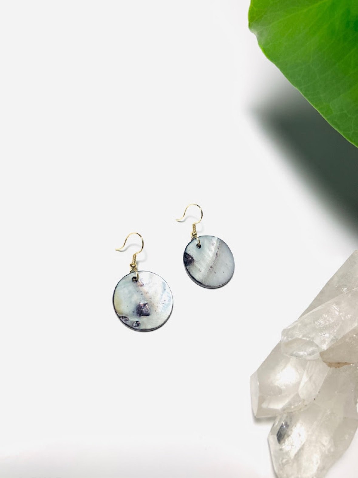 Abalone shell disc earrings on gold hooks