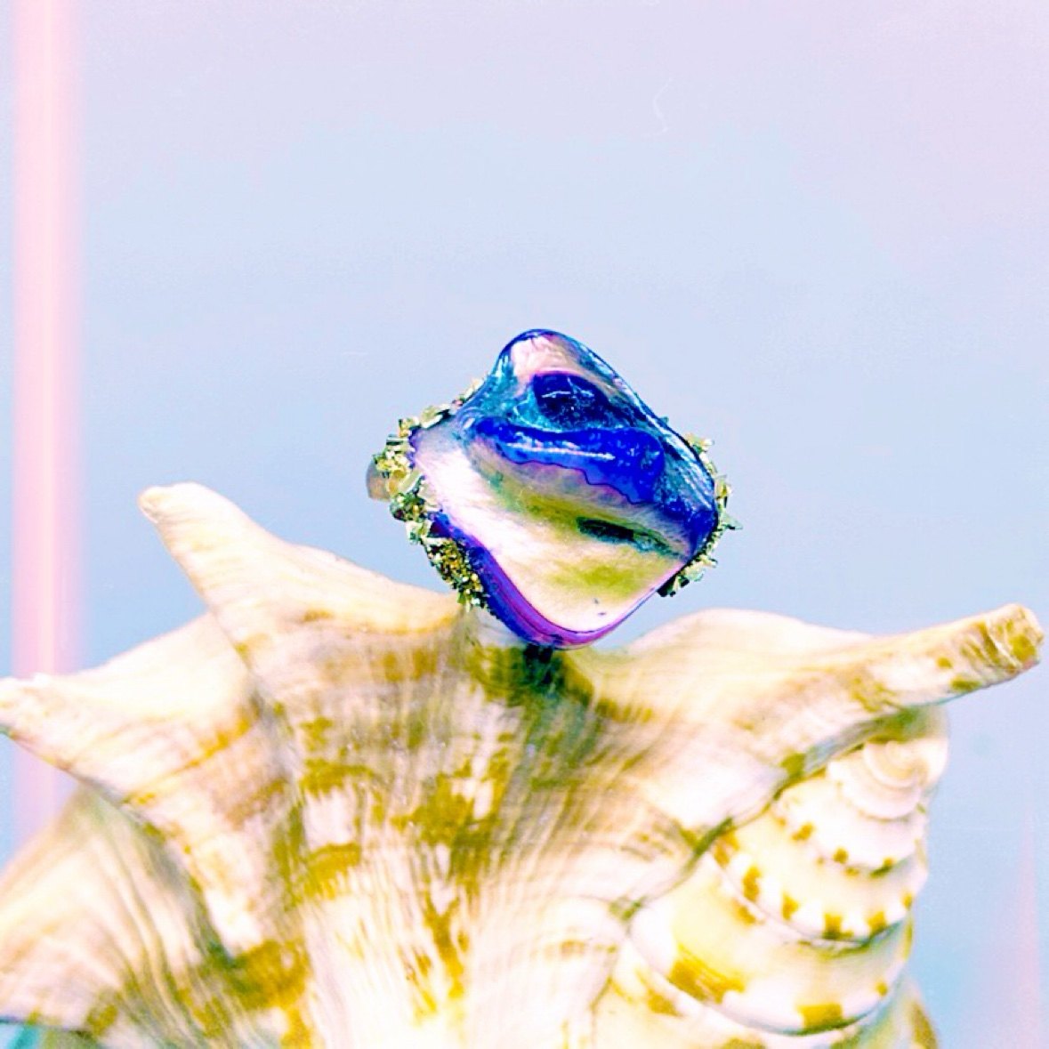 An abalone and crystal ring resting on a shell
